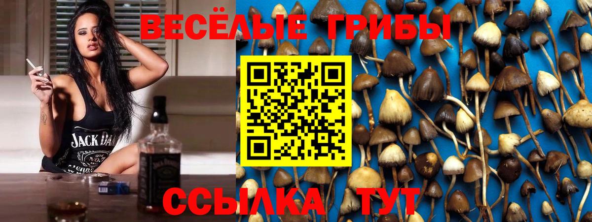 Галлюциногенные грибы Magic Shrooms Волхов