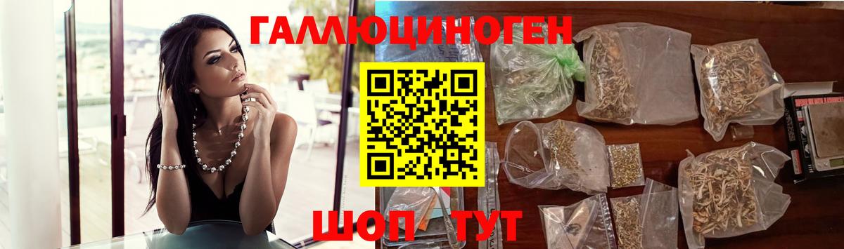 Псилоцибиновые грибы GOLDEN TEACHER  Галлюциногенные грибы GOLDEN TEACHER  Волхов  Вход с VPN 